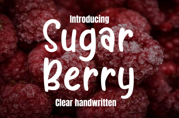 Redefining Digital Warmth: Why Sugar Berry is the Essential Typeface for Contemporary Creative Brands